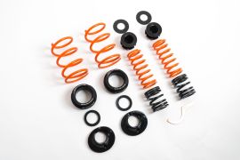 MSS - AUDI Q2 ADJUSTABLE LOWERING SPRINGS